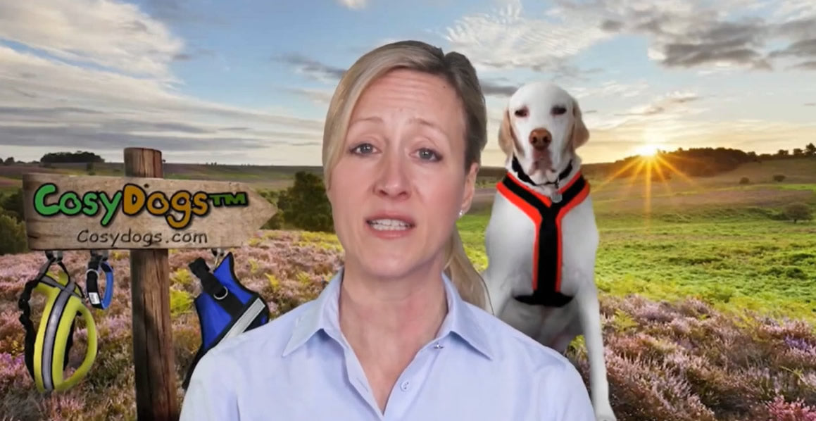 Load video: Cosy Dogs Harnesses