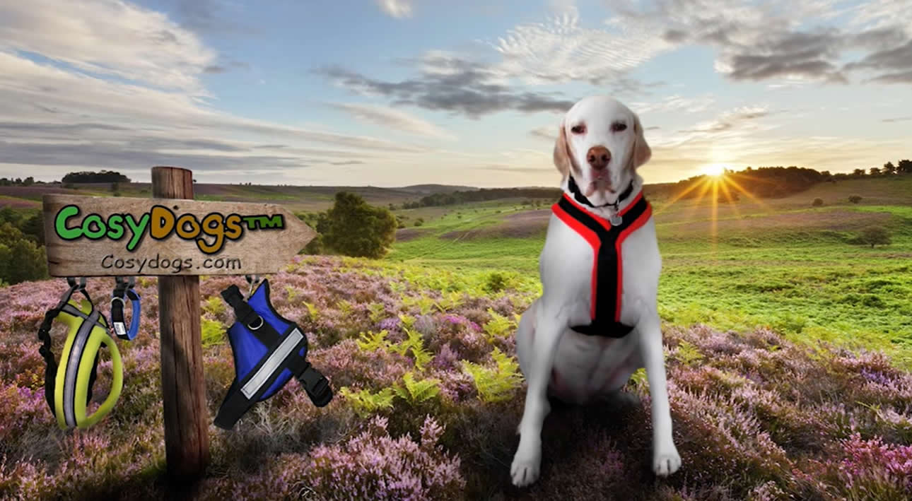 CosyDogs Dog Harnesses