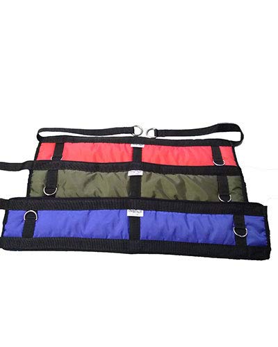 Hands Free Padded Dog Walking Belt