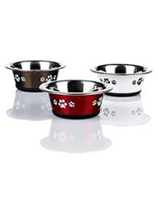 Dog feeding accessories