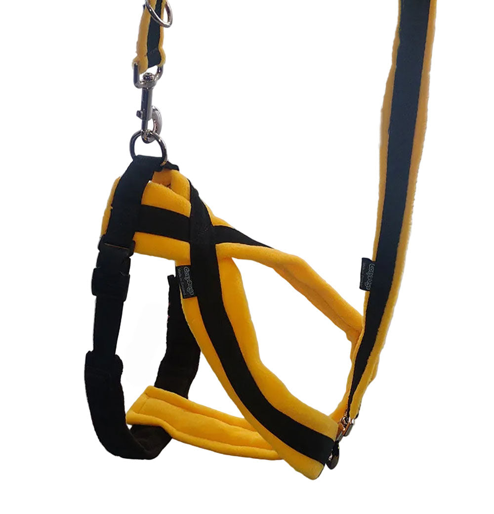 Double Ended Fleece Training Lead 2 Metre