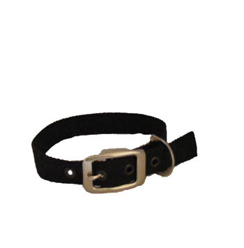 Buckle Nylon Dog Collar By CosyDogs