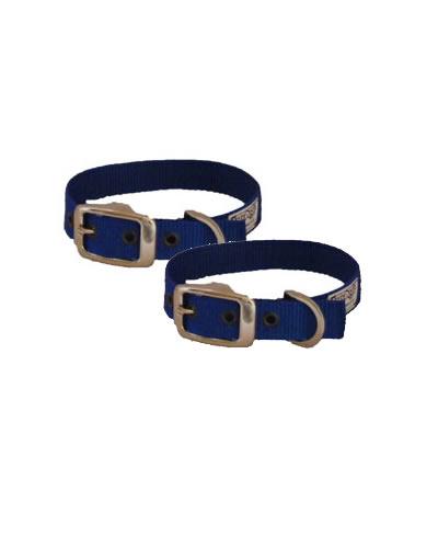 Buckle Nylon Dog Collar By CosyDogs